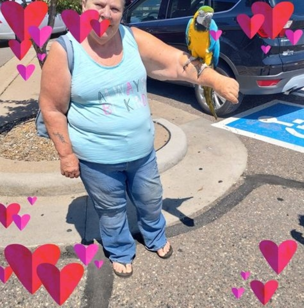 Meet your Posher, Donna